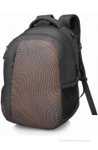 Skybags Geo 01 2.5 L Backpack(Grey, Size - 170)